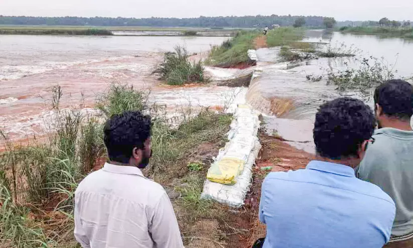ബ​ണ്ട് ത​ക​ർ​ച്ച; ക​ർ​ഷ​ക​ർ ദു​രി​ത​ത്തി​ൽ