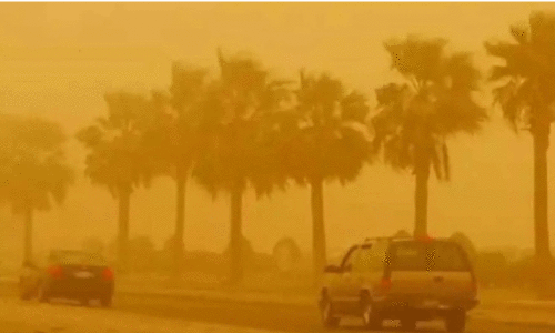 ശ​നി​യാ​ഴ്ച വ്യാ​പ​കപൊ​ടി​ക്കാ​റ്റ്