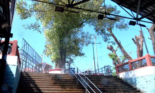 ശബരിമല പതിനെട്ടാം പടിക്ക് താഴെയുള്ള ആൽമരത്തിന് തീപിടിച്ചു