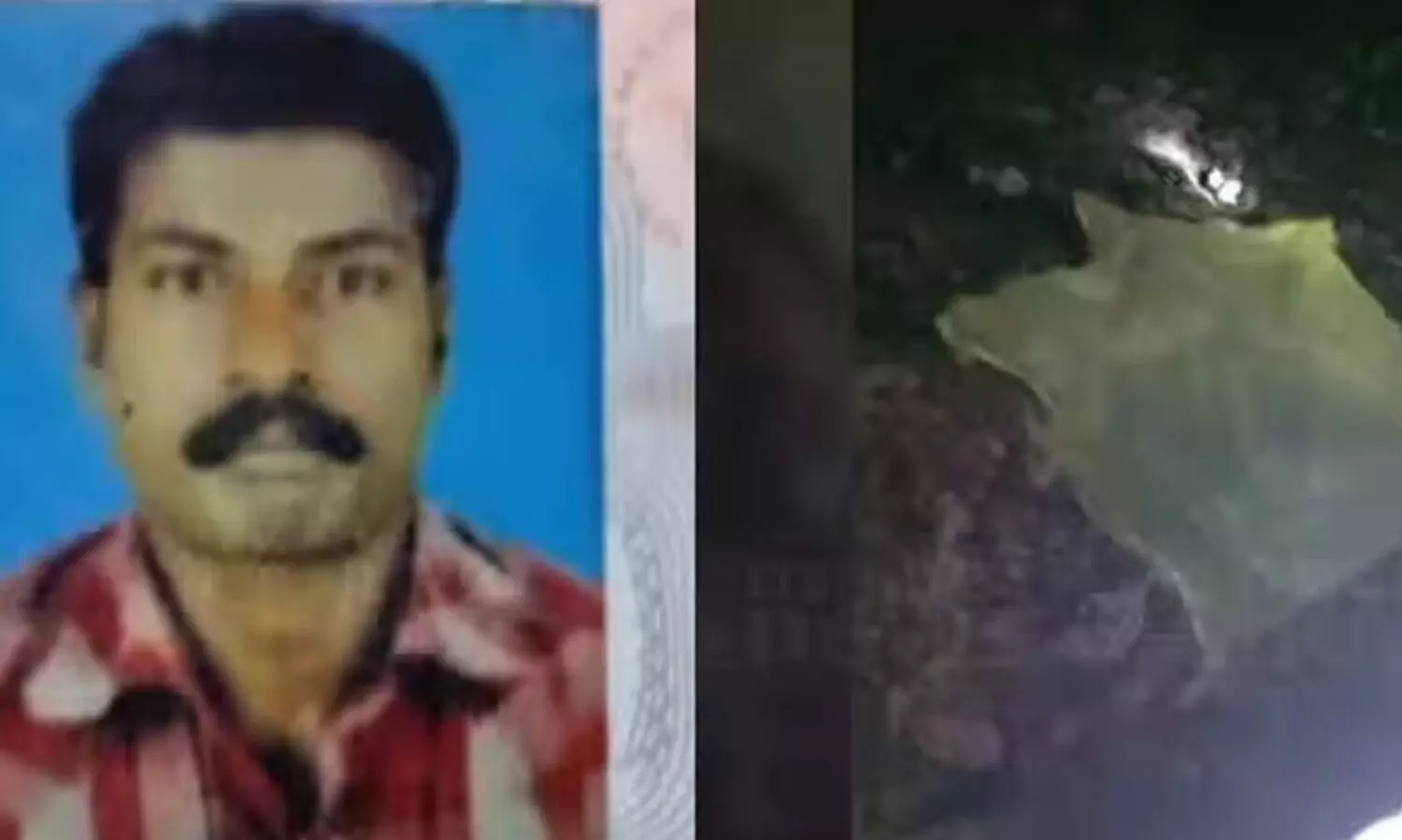 കോതമംഗലത്ത് യുവാവിനെ കാട്ടാന ചവിട്ടിക്കൊന്നു