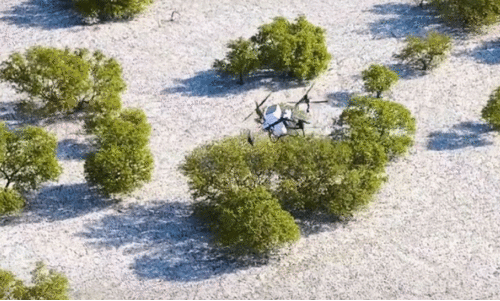 ക​ണ്ട​ൽ​ക്കാ​ട് സം​ര​ക്ഷ​ണ​ത്തി​ന് നി​ർ​മി​ത ബു​ദ്ധി ഡ്രോ​ണു​ക​ൾ