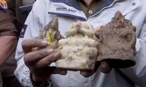 സം​ഭ​ലി​ൽ 46 വ​ർ​ഷ​ത്തി​നു​ശേ​ഷം തുറന്ന ക്ഷേത്രക്കിണറ്റിൽ വിഗ്രഹങ്ങൾ കണ്ടെത്തി