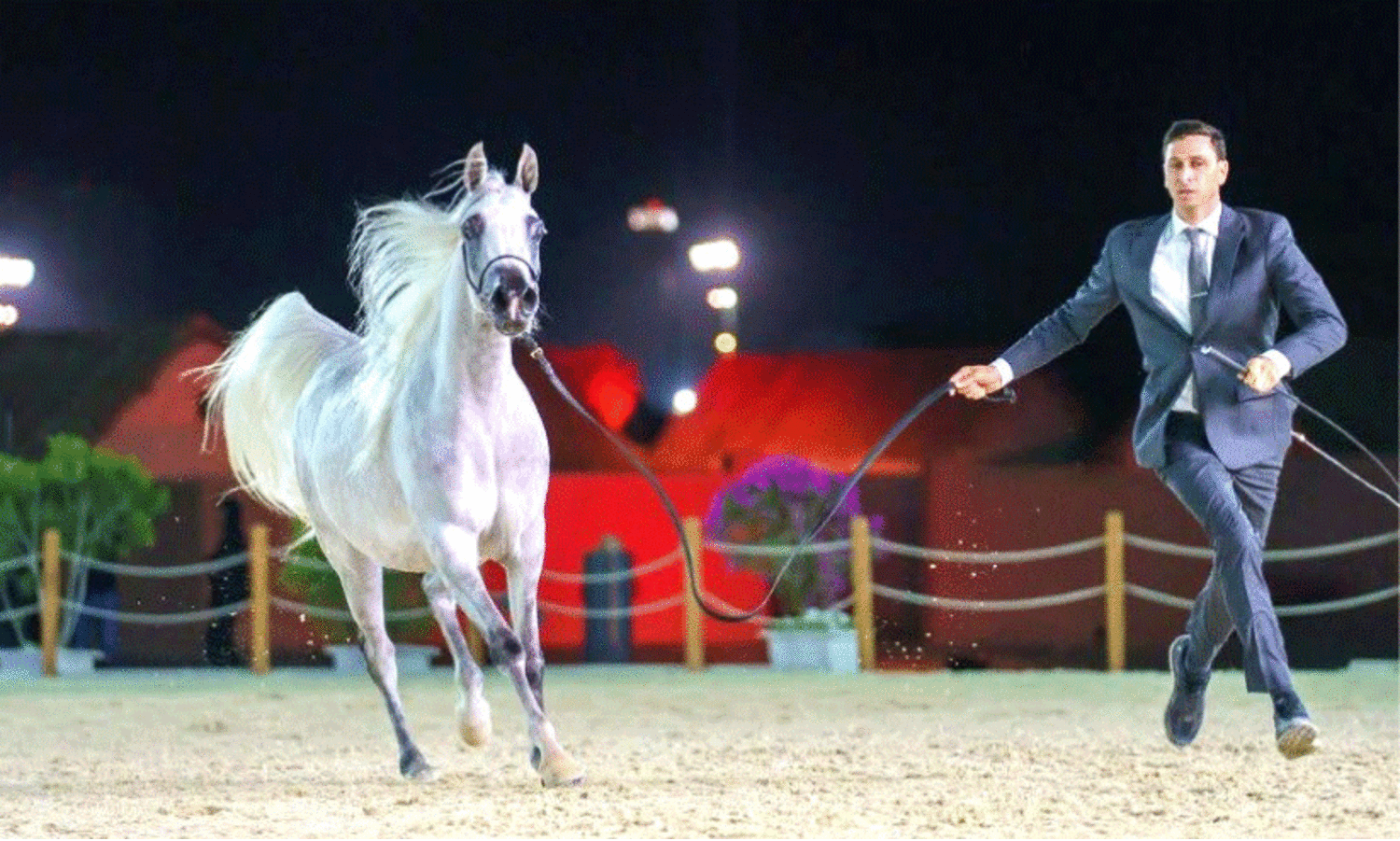 representation image