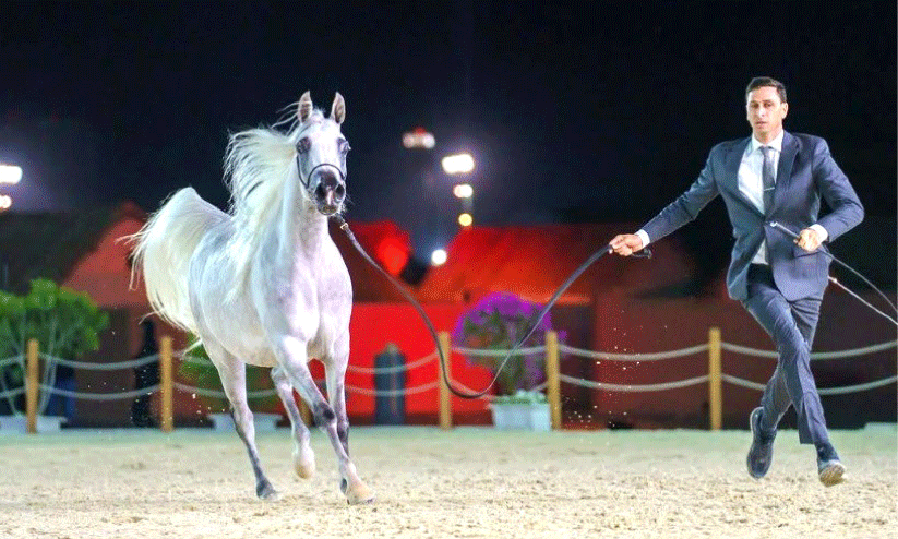 representation image