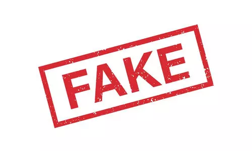 fake