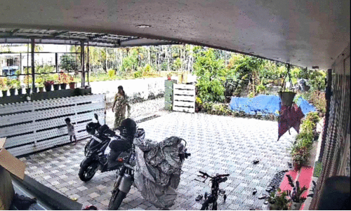 വീ​ടി​ന്റെ സ്ലൈ​ഡി​ങ് ഗേ​റ്റ് ചെ​രി​ഞ്ഞു; ര​ണ്ട്​ വ​യ​സ്സു​കാ​ര​ൻ അ​ത്ഭു​ത​ക​ര​മാ​യി ര​ക്ഷ​പ്പെ​ട്ടു