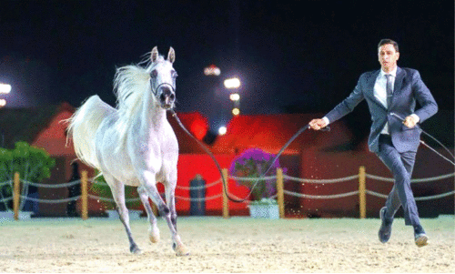 representation image