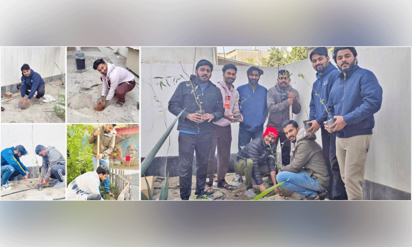 മരം നടൽ സംഘടിപ്പിച്ച് യൂത്ത് ഇന്ത്യ മരം നടൽ സംഘടിപ്പിച്ച് യൂത്ത് ഇന്ത്യ