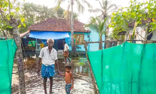 പുറംബണ്ട് പുനർനിർമിച്ചില്ല; ചേരുങ്കലിൽ വീടുകൾ വെള്ളത്തിൽ