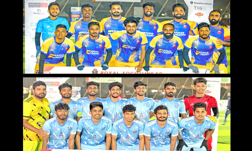 royal focus kingdom cup royal focus kingdom cup