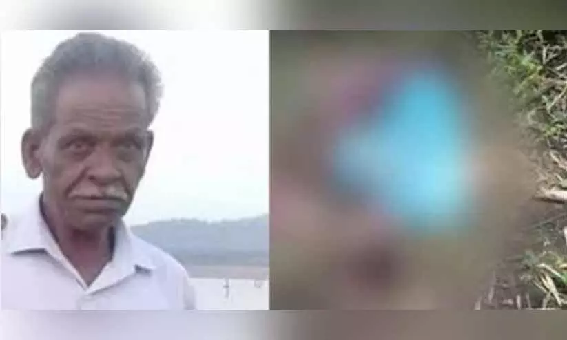 എരുമയെ അന്വേഷിച്ച് കാട്ടിലെത്തി; കാട്ടാന ആക്രമണത്തില്‍ വയോധികന്‍ മരിച്ചു