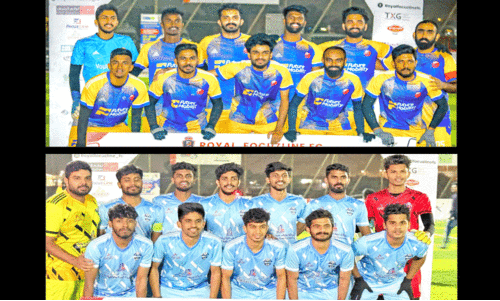 royal focus kingdom cup