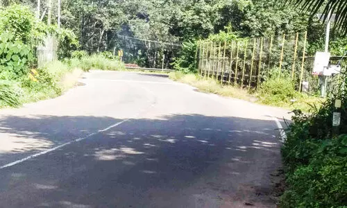 Anayadi Bridge Accident Prone Area