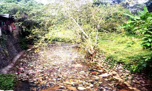 Pandalam Kurunthotayam stream
