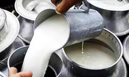 കര്‍ഷകര്‍ക്ക് 15 രൂപ അധിക പാല്‍വില പ്രഖ്യാപിച്ച് മില്‍മ