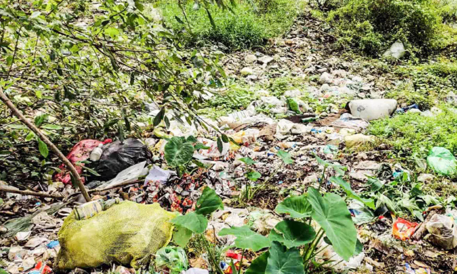 മാലിന്യത്തടാകം