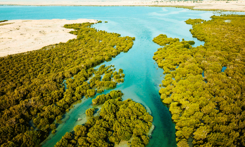 qatar news qatar news