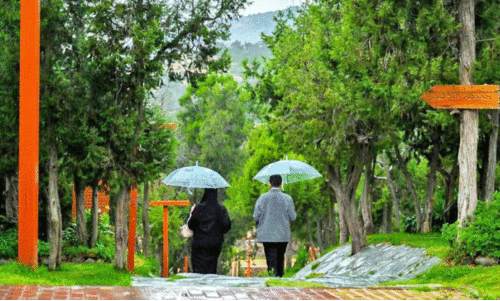 സൗദിയിൽ താപനില കുറയുന്നു; മിക്ക പ്രദേശങ്ങളും ശൈത്യത്തിന്റെ പിടിയിൽ സൗദിയിൽ താപനില കുറയുന്നു; മിക്ക പ്രദേശങ്ങളും ശൈത്യത്തിന്റെ പിടിയിൽ