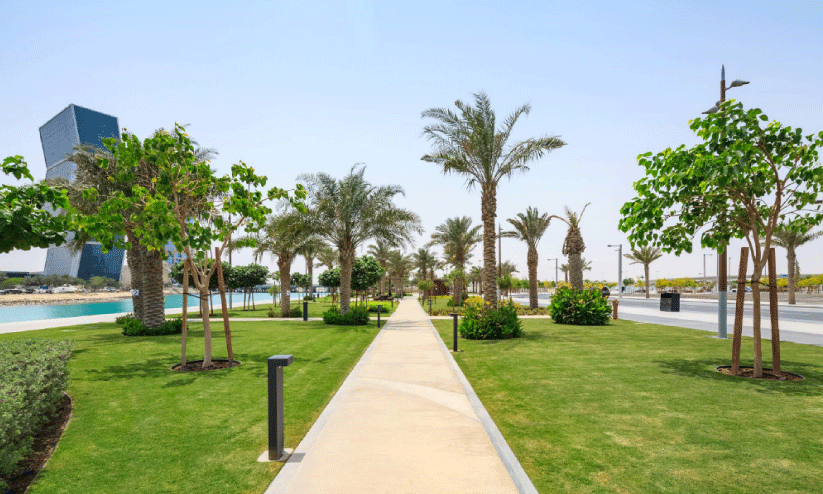 പ​ച്ച​പി​ടി​ച്ച് ഖ​ത്ത​റി​ന്റെ ഹ​രി​ത​വ​ത്ക​ര​ണം