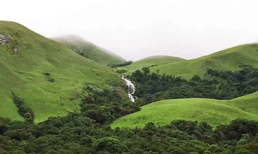 പശ്ചിമഘട്ടത്തി​ന്റെ ഹരിത കവചം ദുർബലമാകുന്നു; വന വളർച്ചയിൽ മാന്ദ്യം