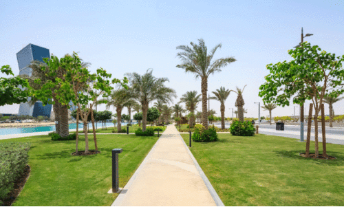 പ​ച്ച​പി​ടി​ച്ച് ഖ​ത്ത​റി​ന്റെ ഹ​രി​ത​വ​ത്ക​ര​ണം