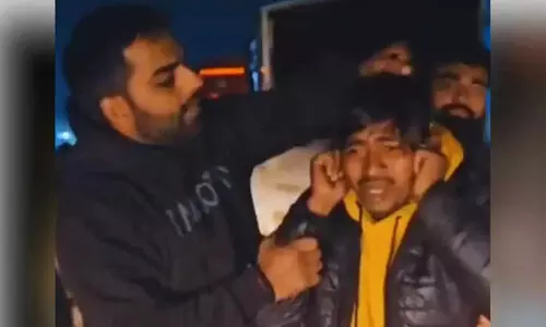 haryana-cow-vigilantes-assault-truck-driver-for-transporting-bulls