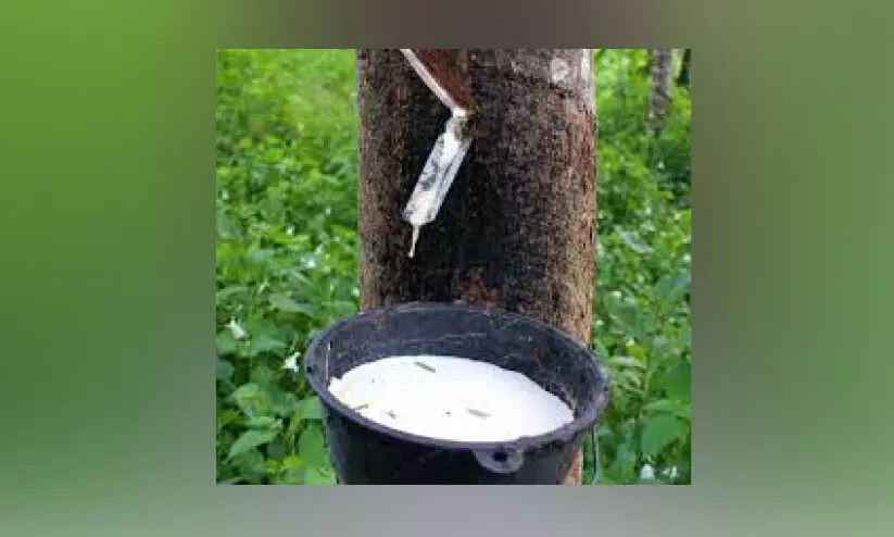 സമ്മർദത്തിൽ റബർ വിപണി