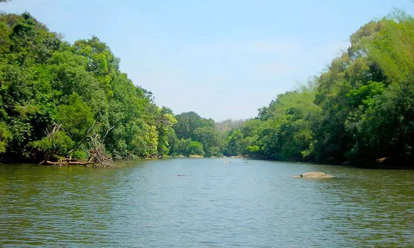 കുറുവ ദ്വീപിൽ റിവർ റാഫ്റ്റിങ് ഒരുങ്ങുന്നു