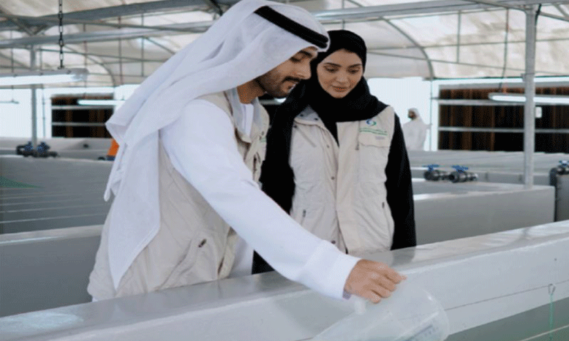 ശ​​ുദ്ധജലത്തിൽ മു​ത്തു​ച്ചി​പ്പി കൃ​ഷി; പേ​ള്‍സ് സെ​ന്റ​റി​ന് തു​ട​ക്ക​മി​ട്ട് അ​ബൂ​ദ​ബി