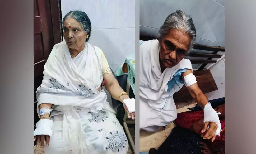 മ​ന​ക്ക​ര​യി​ൽ നായുടെ അക്രമണം;നിരവധി പേർക്ക് പരിക്ക്