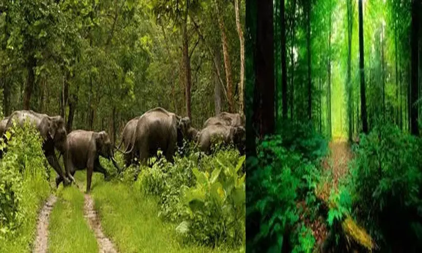 കര്‍ഷക-ആദിവാസി വിരുദ്ധ കേരള വനനിയമ ഭേദഗതി പിന്‍വലിക്കണം-എസ്.ഡി.പി.ഐ