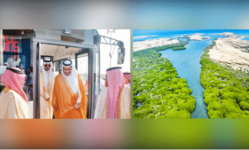 പൊ​തു​ഗ​താ​ഗ​തം രാ​ജ്യ​വ്യാ​പ​ക​മാ​ക്കു​ന്നു; ഫ​റ​സാ​ൻ ദ്വീ​പി​ൽ ബ​സ് സ​ർ​വി​സ്​ ആ​രം​ഭി​ച്ചു