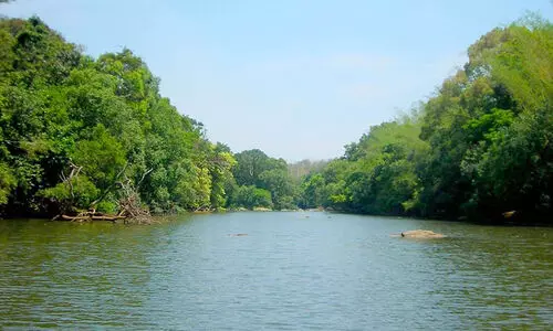 കുറുവ ദ്വീപിൽ റിവർ റാഫ്റ്റിങ് ഒരുങ്ങുന്നു