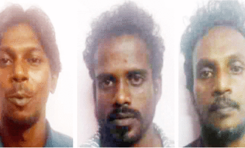 ജോൺസൺ, റിനീഷ്, ജിലോഷ് ജോൺസൺ, റിനീഷ്, ജിലോഷ്