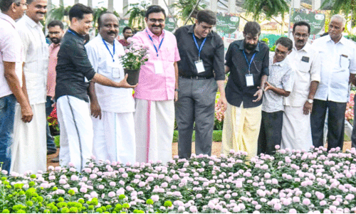 flower show flower show