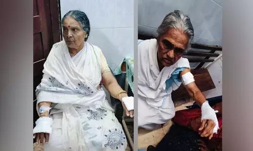 മ​ന​ക്ക​ര​യി​ൽ നായുടെ അക്രമണം;നിരവധി പേർക്ക് പരിക്ക്