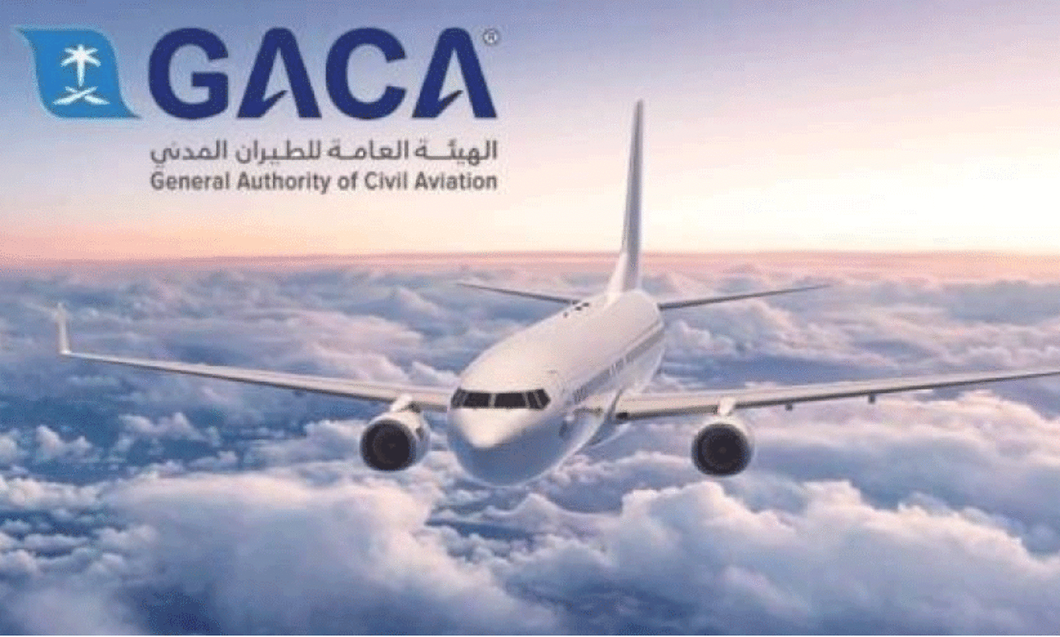 വി​മാ​ന​ക്ക​മ്പ​നി​ക​ൾ​ക്കെ​തി​രെ യാ​ത്ര​ക്കാ​രു​ടെ പ​രാ​തി​ക​ൾ വ​ർ​ധി​ച്ചു