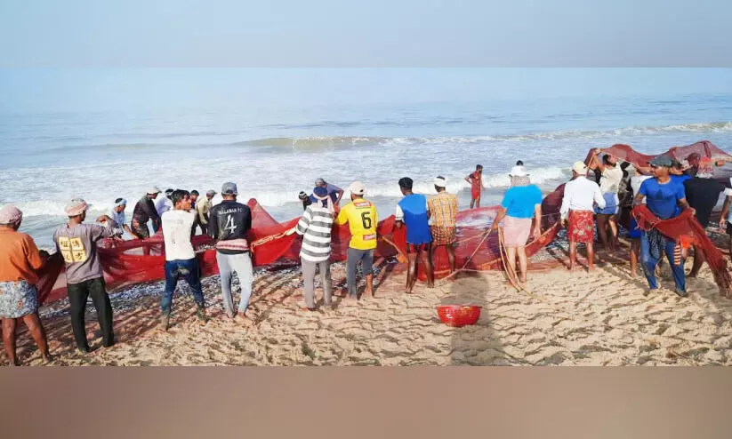 പ്രതീക്ഷ മങ്ങി മത്സ്യമേഖല; പിടിച്ചു നിൽക്കാനാവാതെ തൊഴിലാളികൾ പ്രതീക്ഷ മങ്ങി മത്സ്യമേഖല; പിടിച്ചു നിൽക്കാനാവാതെ തൊഴിലാളികൾ