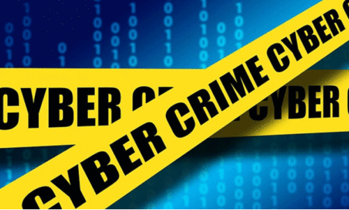 cyber crime