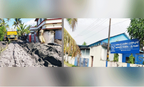 കണ്ണീരോർമയിൽ ആറാട്ടുപുഴ ഗ്രാമം; സൂനാമിയുടെ നടുക്കം മാറാതെ രണ്ടു പതിറ്റാണ്ട്