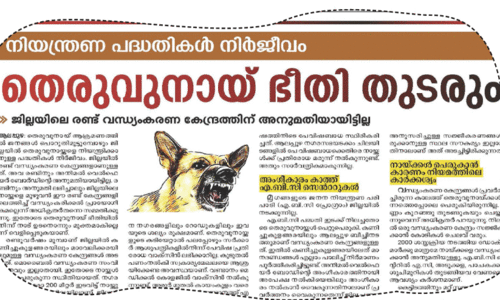 തീരദേശം തെരുവുനായ്​ക്കളുടെ പിടിയിൽ