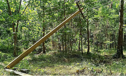 കാട്ടാന വൈദ്യുതി തൂണുകൾ തകർത്തു; ഒഴിവായത് വൻ ദുരന്തം കാട്ടാന വൈദ്യുതി തൂണുകൾ തകർത്തു; ഒഴിവായത് വൻ ദുരന്തം