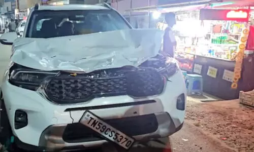 അന്തര്‍സംസ്ഥാന പാതയില്‍ കാട്ടുപോത്ത് കാറിന്​ മുകളിലേക്ക് ചാടി അപകടം