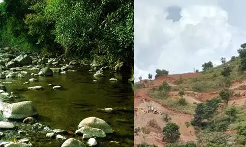 അട്ടപ്പാടിയിൽ വ്യാപകമായി പുഴ പുറമ്പോക്ക് ഭൂമി കൈയേറിയെന്ന് റിപ്പോർട്ട്