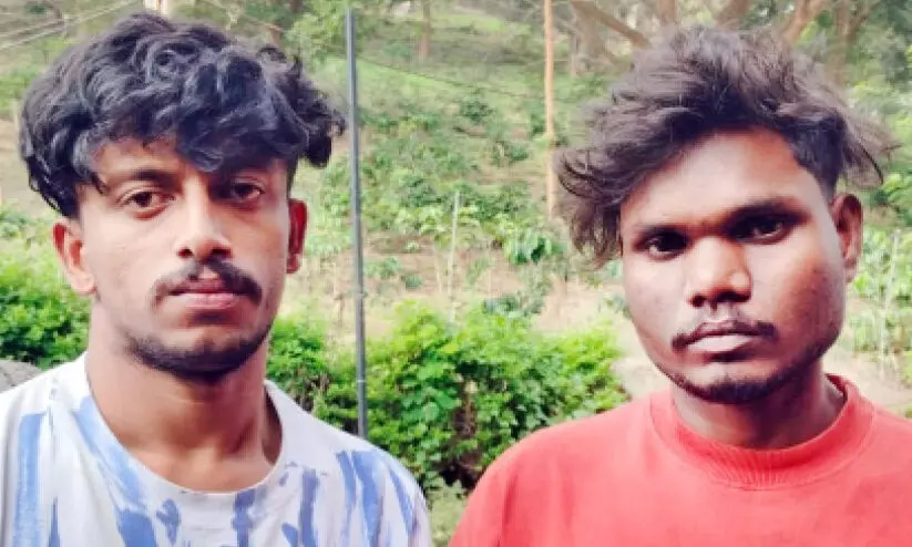 380 ഗ്രാം ​എം.​ഡി.​എം.​എ​യു​മാ​യി ര​ണ്ടു പേ​ർ അ​റ​സ്റ്റി​ൽ