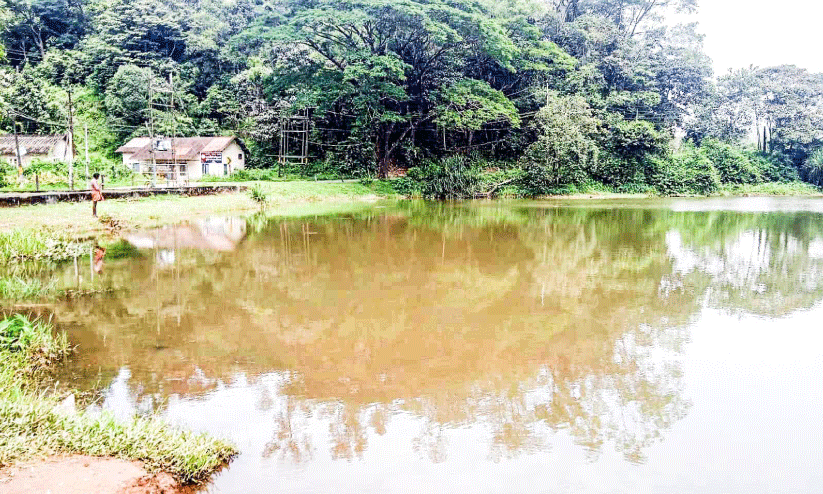 Vadakkepuzha Vadakkepuzha