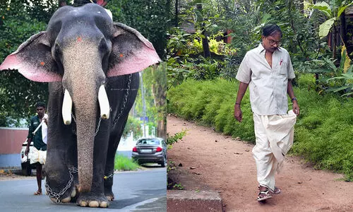 മറുനാട്ടിൽ നിന്നെത്തിയ ഇന്ദ്രസെനെ ഹീറോയാക്കിയ എം.ടി