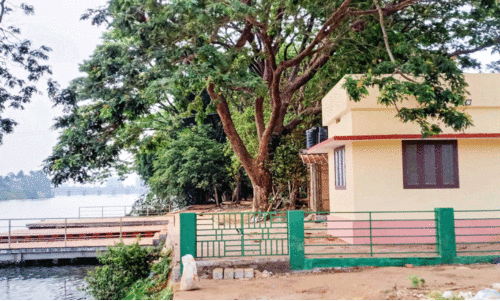 മണപ്പുറം കുട്ടിവനത്തിൽ സാമ്രാജ്യമുറപ്പിച്ച് മയക്കുമരുന്ന് സംഘങ്ങൾ