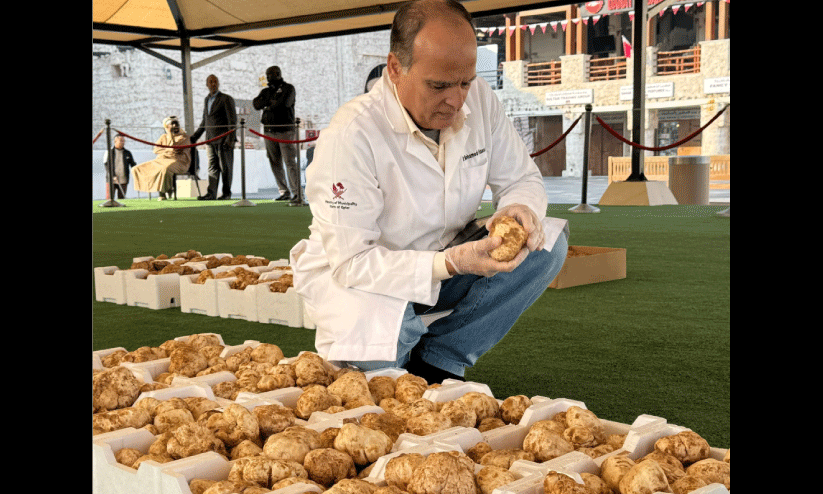 faqaa mushroom fair