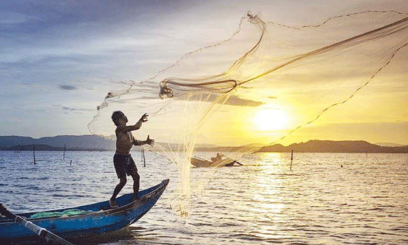 Representation image Representation image